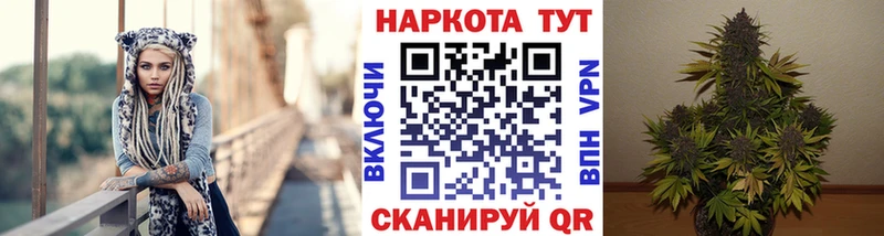 Галлюциногенные грибы Талдом