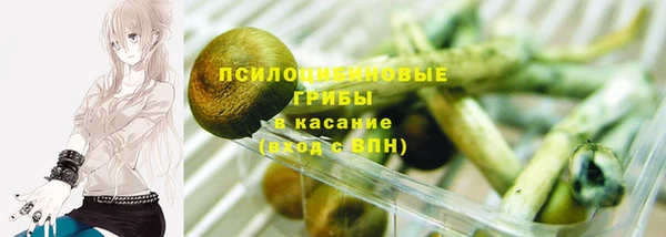 сатива Абаза