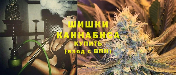 сатива Абаза